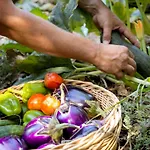 Ξενοδοχείο με διαμερίσματα Eco Village Baia Delle Ginestre
