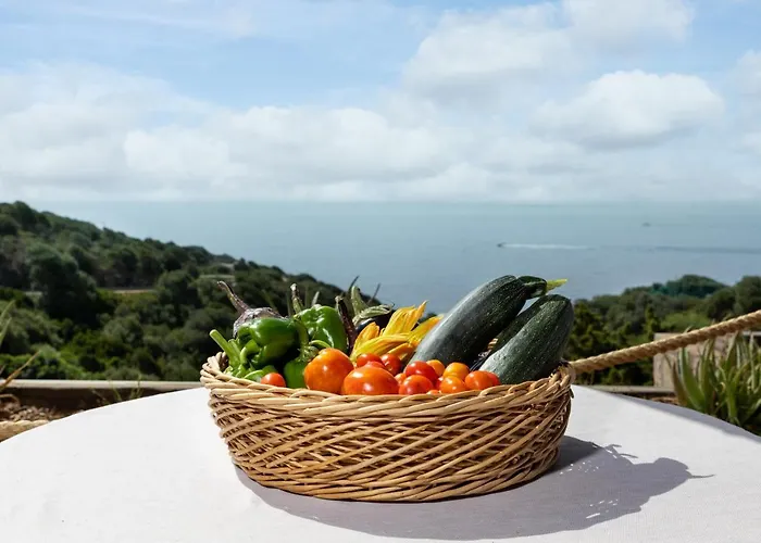 Aparthotel Eco Village Baia Delle Ginestre