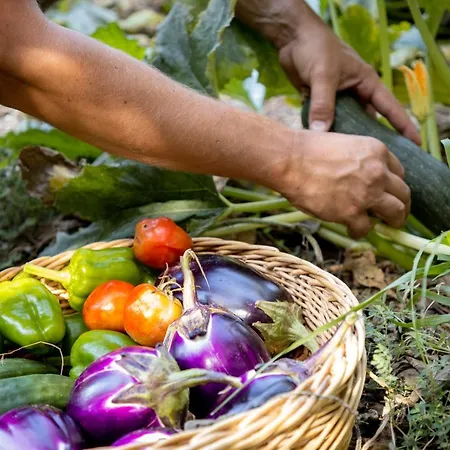 Lägenhetshotell Eco Village Baia Delle Ginestre