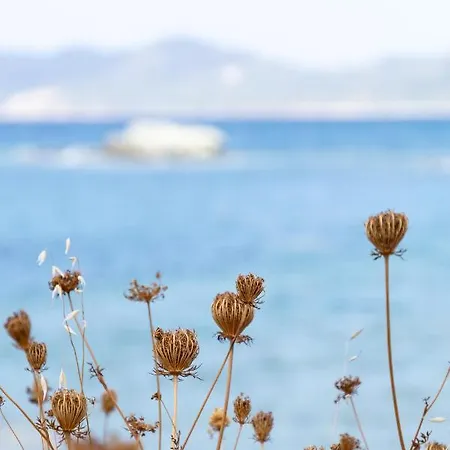 Baia Delle Ginestre Aparthotel 4*