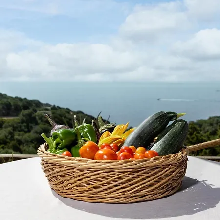 Aparthotel Eco Village Baia Delle Ginestre